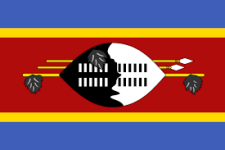 Guess this club